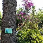 Villa Casa Palmeiras Charneca (Setubal)