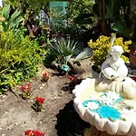 Villa Casa Palmeiras