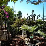 Casa Palmeiras Villa *