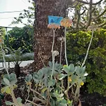 Villa Casa Palmeiras Charneca (Setubal)