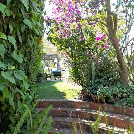 Casa Palmeiras Villa