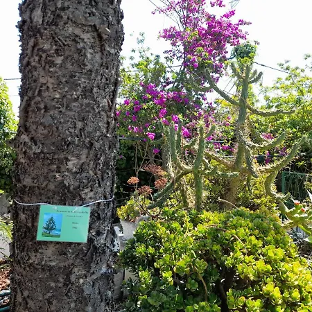 Villa Casa Palmeiras Charneca (Setubal)