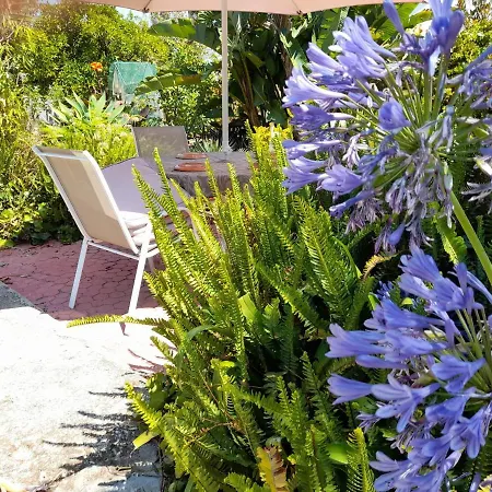 Villa Casa Palmeiras *