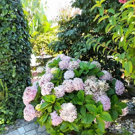 Villa Casa Palmeiras *