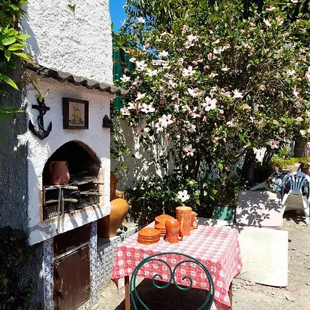 Casa Palmeiras Villa Charneca (Setubal)