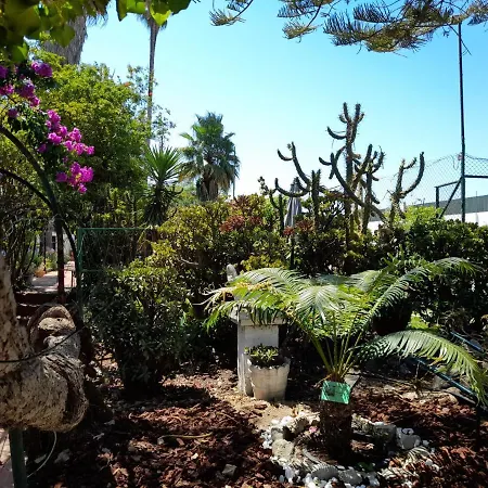 Casa Palmeiras Villa *