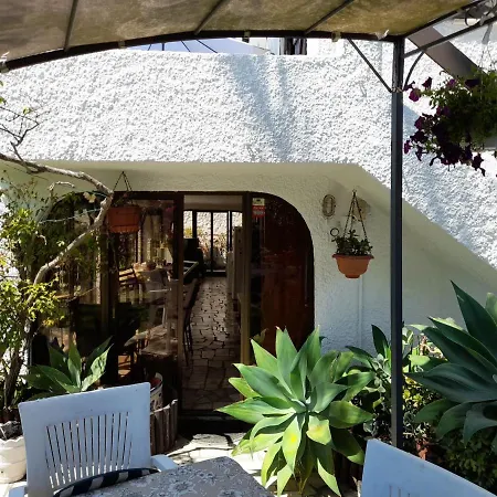 Casa Palmeiras Villa