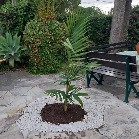 Villa Casa Palmeiras