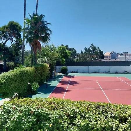 Casa Palmeiras Villa *