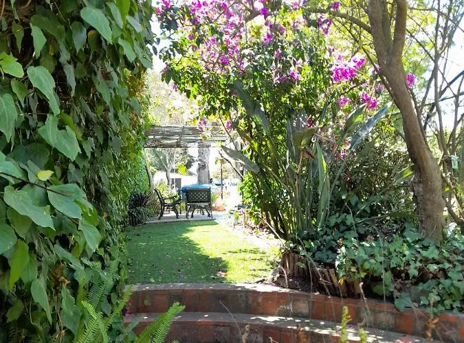 Casa Palmeiras Villa