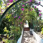 Casa Palmeiras Charneca (Setubal)