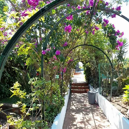 Casa Palmeiras Шарнека