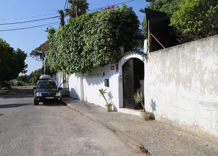 Casa Palmeiras *