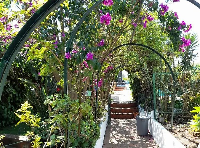 Casa Palmeiras Charneca (Setubal)