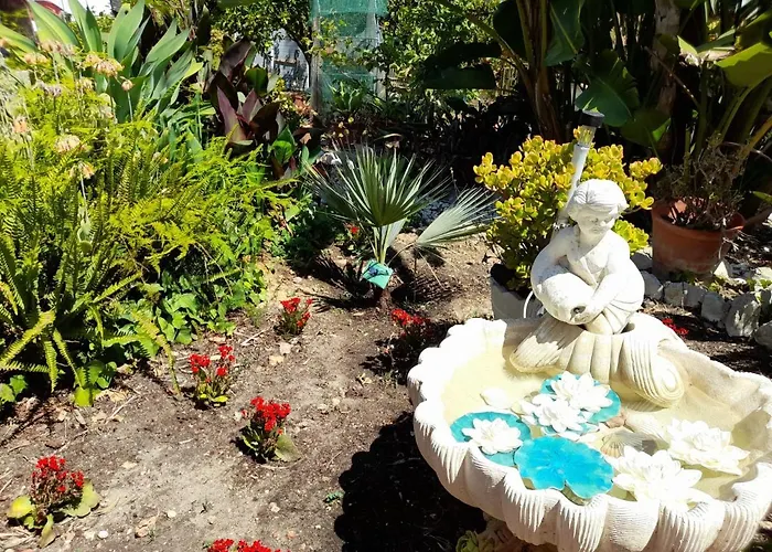 Villa Casa Palmeiras