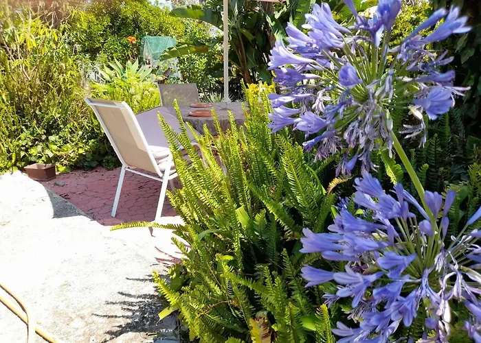 Villa Casa Palmeiras *