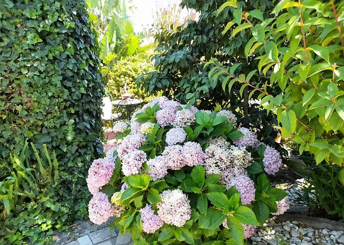 Villa Casa Palmeiras *